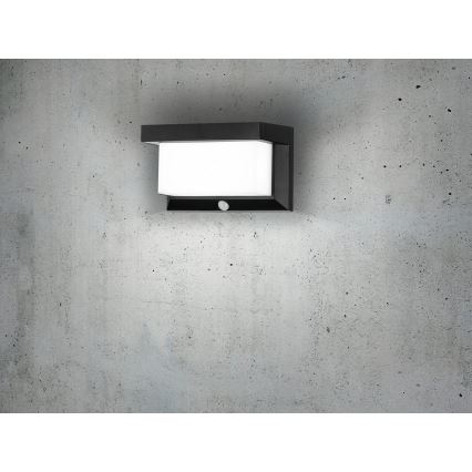 Eglo - LED-seinäaurinkovalaisin anturilla LED/3,84W/3,7V IP44