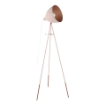 EGLO 49039 - Lattialamppu CHESTER-P 1xE27/60W/230V