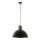 Eglo 49106 - Kattokruunu ketjussa COLDRIDGE 1xE27/60W/230V