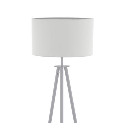 Eglo 49156 - Lattialamppu BIDFORD 1xE27/60W/230V