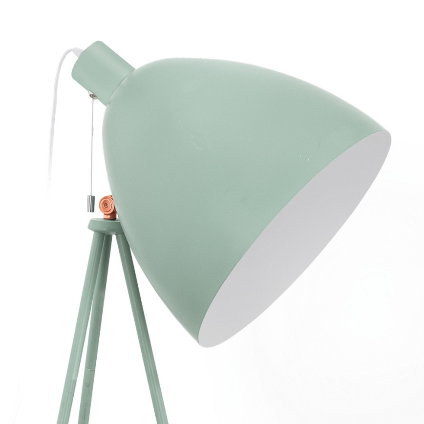 Eglo 49342 - Lattialamppu DUNDEE 1xE27/60W/230V