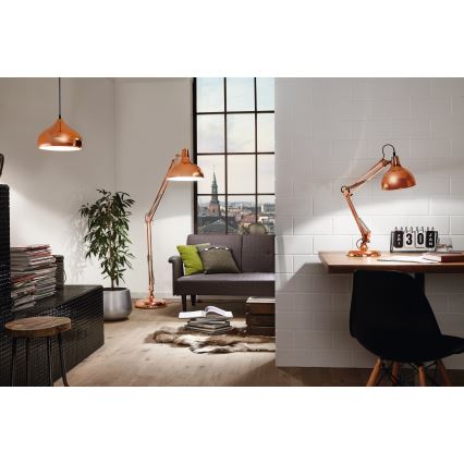Eglo 49449 - Kattokruunu HAPTON 1xE27/60W/230V