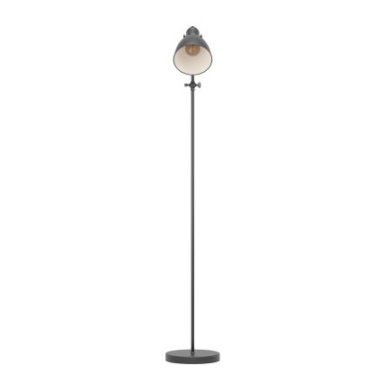 Eglo 49471 - Lattialamppu PRIDDY 1xE27/40W/230V
