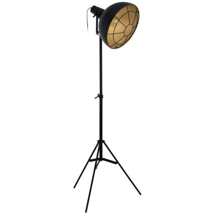 Eglo 49674 - Lattialamppu CANNINGTON 1xE27/60W/230V