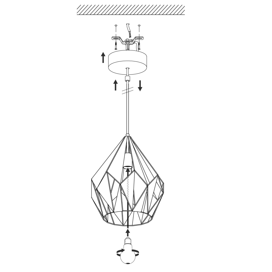 Eglo 49932 - Riippuvalaisin CARLTON 1 1xE27/60W/230V