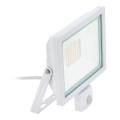 Eglo 64886 - LED-valonheitin anturilla FILETTI LED/50W/230V 4000K IP44 valkoinen