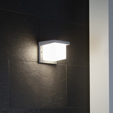 Eglo 65045 - LED-ulkoseinävalaisin DESELLA PRO LED/10W/230V IP54 hopea