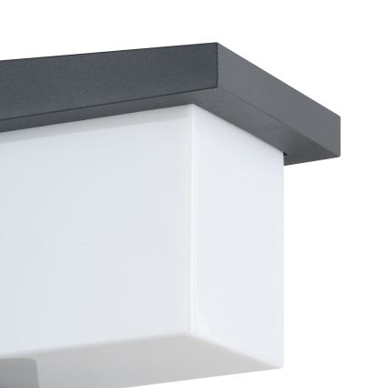 Eglo 65046 - LED-ulkoseinävalaisin DESELLA PRO LED/10W/230V IP54 antrasiitti