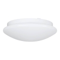Eglo 68317 - Kylpyhuoneen kattovalaisin ELLA PROJEKT 1xE27/20W/230V IP44 halkaisija 30 cm