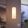 Eglo 75251 - LED RGB himmennettävä kattovalaisin köydellä ELLUNO-C E27/7,5W/230V + kaukosäädin