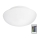 Eglo 75352 - Himmennettävä LED RGB-kattovalaisin ELLA-C 2xE27/7,5W/230V + kaukosäädin