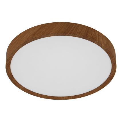 Eglo - LED Kattovalaisin LED/14,6W/230V