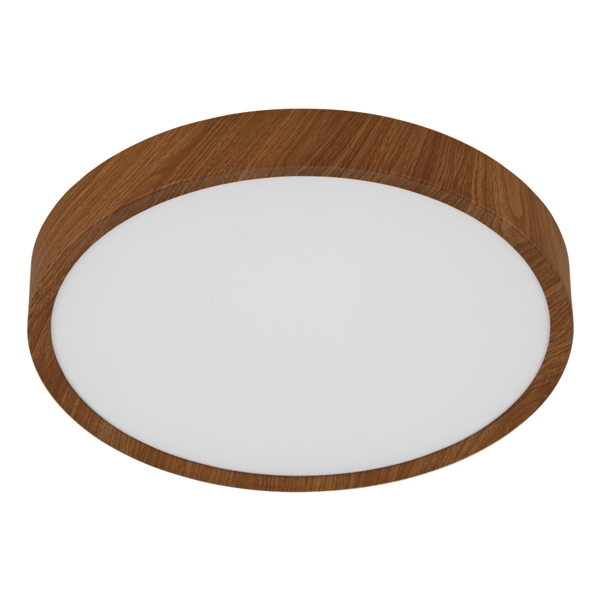 Eglo - LED Kattovalaisin LED/14,6W/230V