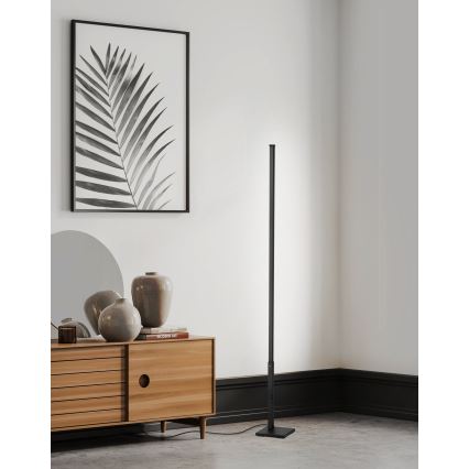 Eglo - LED Himmennettävä lattiavalaisin LED/14W/230V 2700-6500K + kaukosäädin