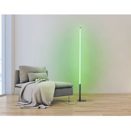 Eglo - LED RGB Himmennettävä lattialamppu LED/13,5W/230V 2700-6500K + kaukosäädin