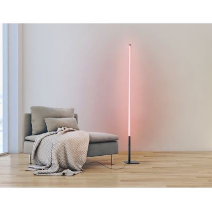 Eglo - LED RGB Himmennettävä lattialamppu LED/13,5W/230V 2700-6500K + kaukosäädin