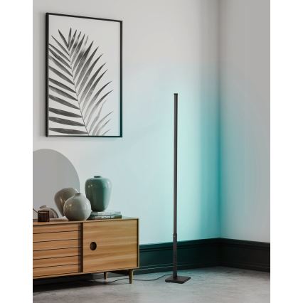 Eglo - LED RGB Himmennettävä lattialamppu LED/13,5W/230V 2700-6500K + kaukosäädin