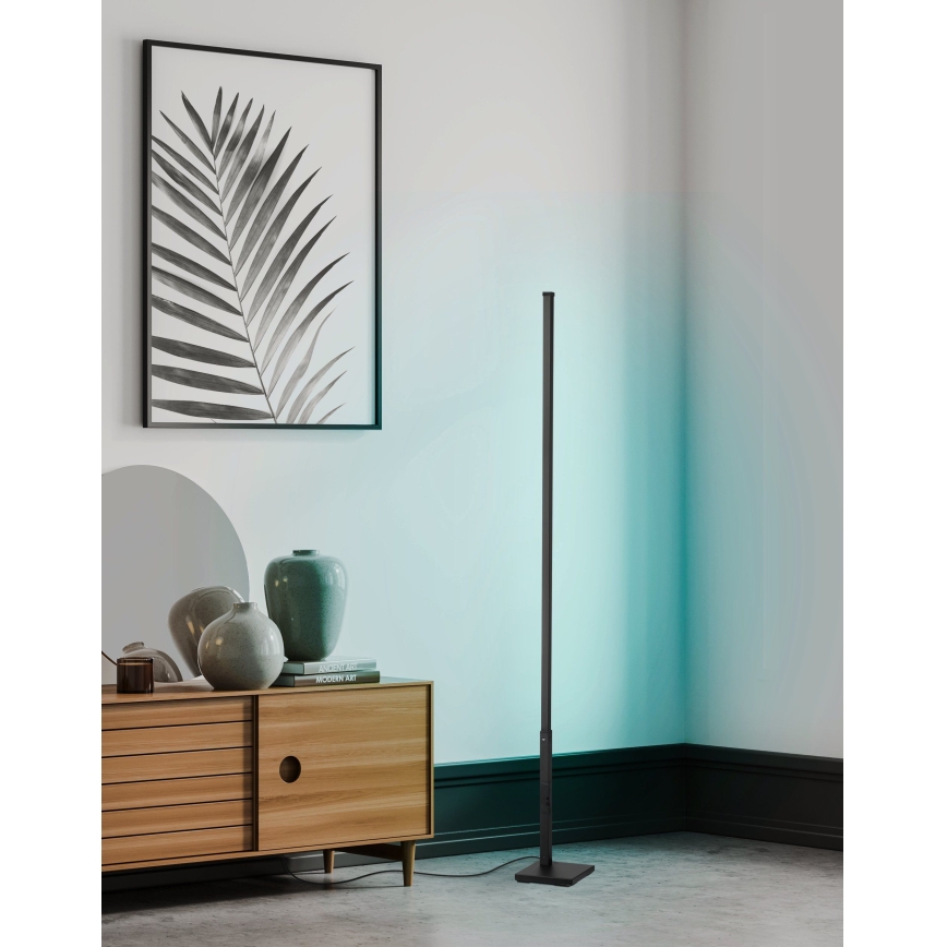 Eglo - LED RGB Himmennettävä lattialamppu LED/13,5W/230V 2700-6500K + kaukosäädin