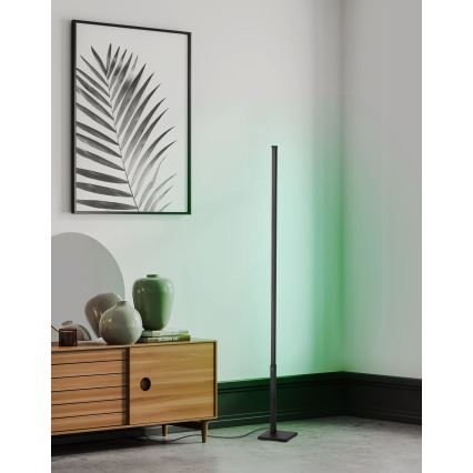 Eglo - LED RGB Himmennettävä lattialamppu LED/13,5W/230V 2700-6500K + kaukosäädin