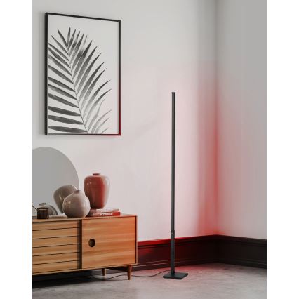Eglo - LED RGB Himmennettävä lattialamppu LED/13,5W/230V 2700-6500K + kaukosäädin