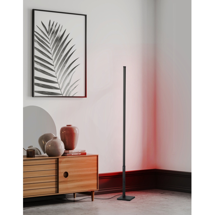 Eglo - LED RGB Himmennettävä lattialamppu LED/13,5W/230V 2700-6500K + kaukosäädin