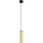 Eglo 79342 - Kattokruunu johdossa PINTO GOLD 1xE27/40W/230V kulta