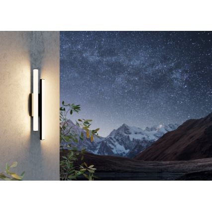 Eglo - LED Ulkoseinävalaisin 2xLED/4,2W/230V IP55