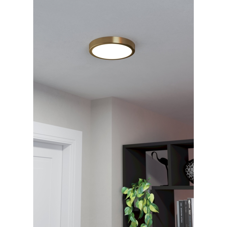 Eglo - LED-kattovalo LED/17W/230V d. 21 cm