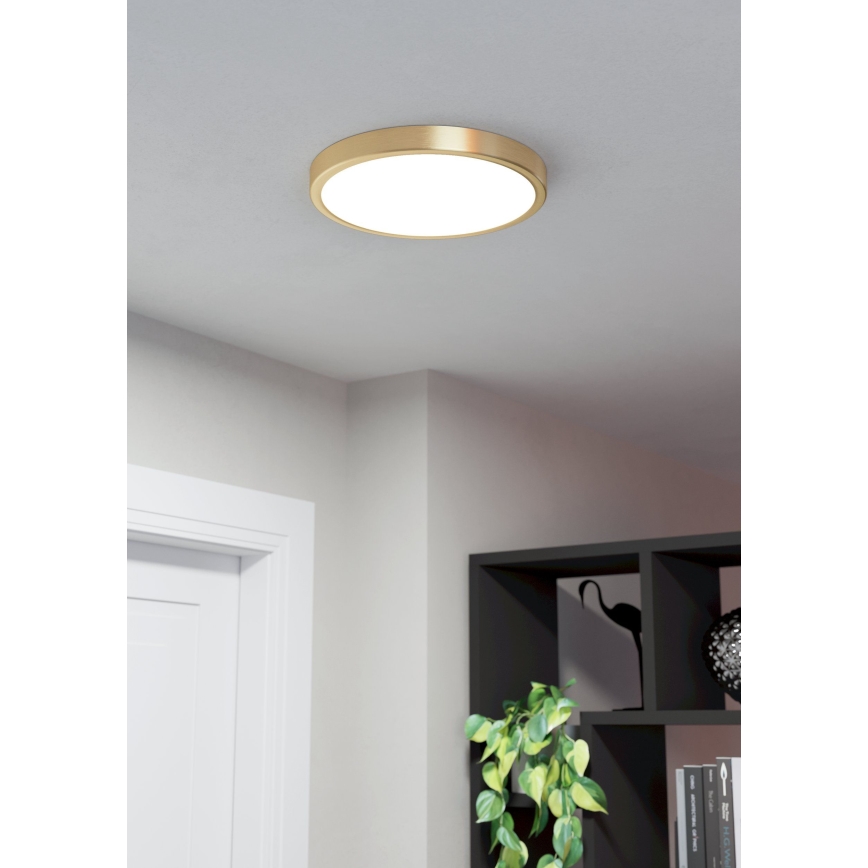 Eglo - LED-kattovalo LED/20,5W/230V d. 28,5 cm
