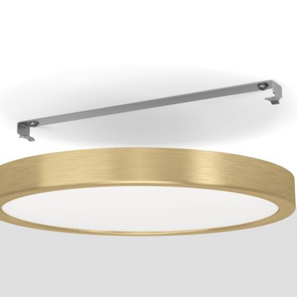 Eglo - LED-kattovalo LED/20,5W/230V d. 28,5 cm