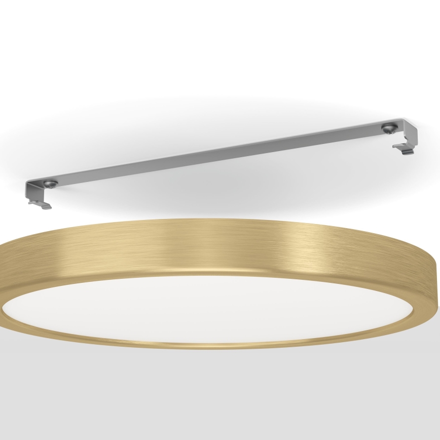 Eglo - LED-kattovalo LED/20,5W/230V d. 28,5 cm