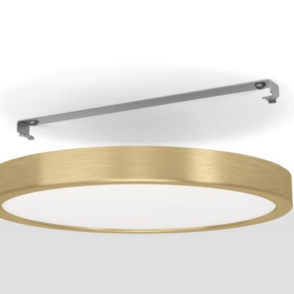 Eglo - LED-kattovalo LED/20,5W/230V d. 28,5 cm