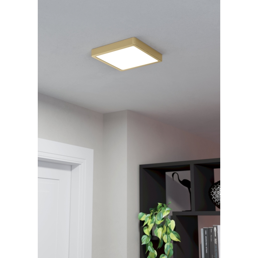 Eglo - LED-kattovalaisin LED/17W/230V