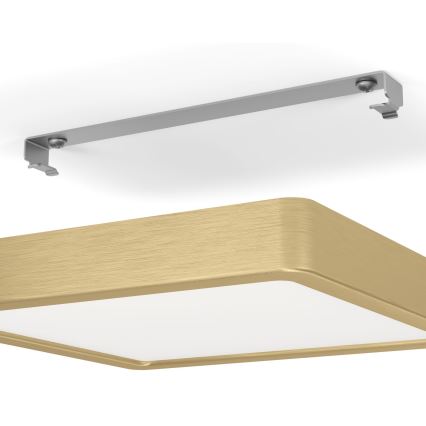 Eglo - LED-kattovalaisin LED/17W/230V