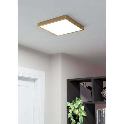 Eglo - LED-kattovalaisin LED/20,5W/230V