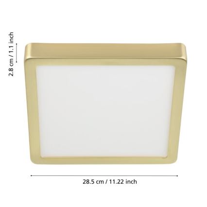 Eglo - LED-kattovalaisin LED/20,5W/230V