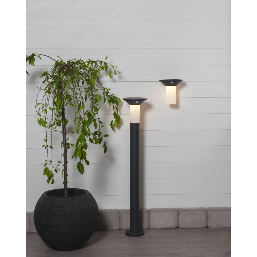 Eglo - LED aurinkokennovalaisin tunnistimella ulkokäyttöön 6xLED/0,03W/3,7V 1500 mAh IP44