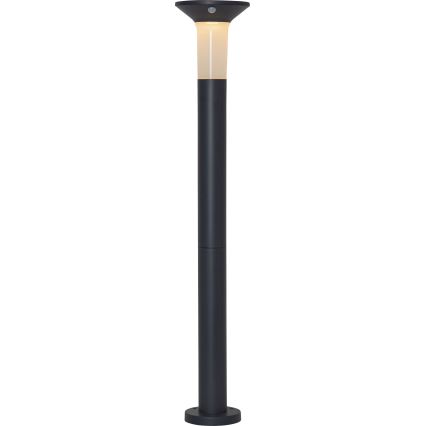 Eglo - LED Aurinkokennovalo sensorilla ulkokäyttöön 6xLED/0,03W/3,7V IP44