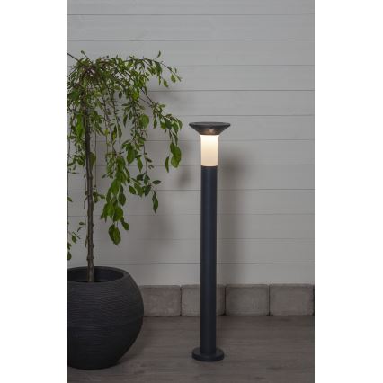 Eglo - LED Aurinkokennovalo sensorilla ulkokäyttöön 6xLED/0,03W/3,7V IP44