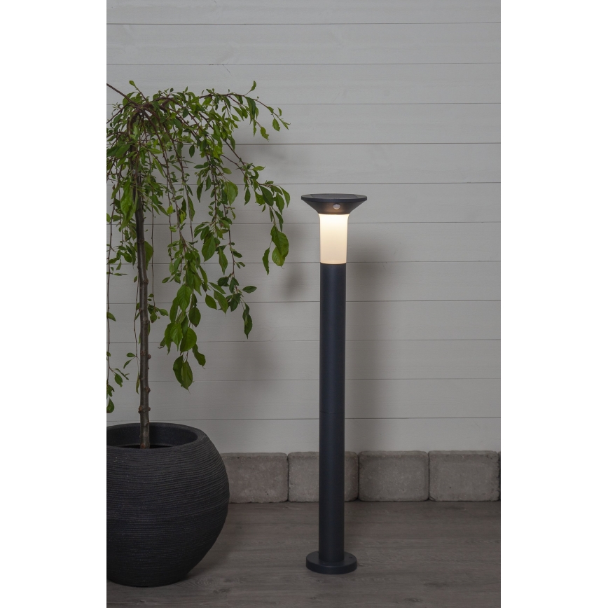 Eglo - LED Aurinkokennovalo sensorilla ulkokäyttöön 6xLED/0,03W/3,7V IP44