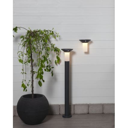 Eglo - LED Aurinkokennovalo sensorilla ulkokäyttöön 6xLED/0,03W/3,7V IP44