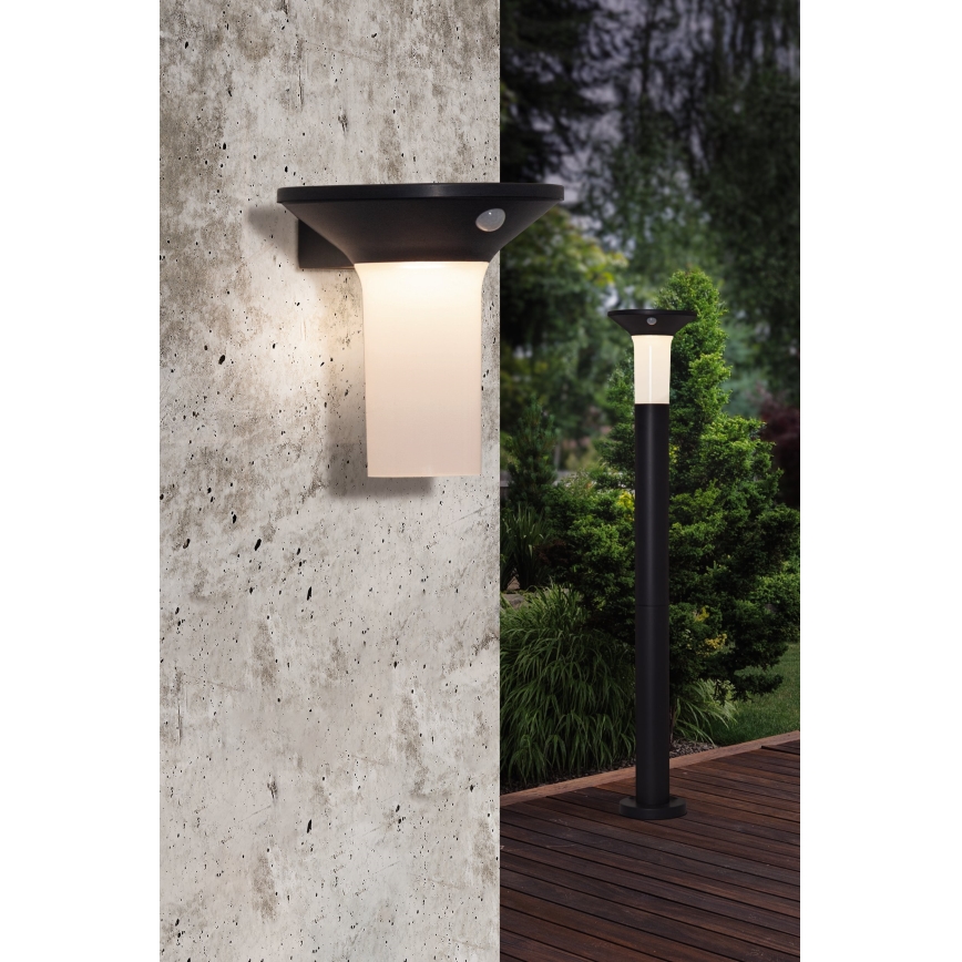 Eglo - LED Aurinkokennovalo sensorilla ulkokäyttöön 6xLED/0,03W/3,7V IP44