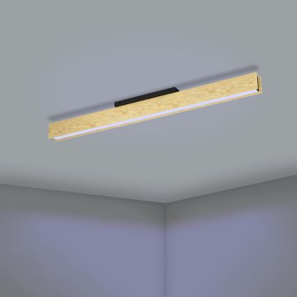 Eglo - LED RGBW Himmennettävä kattovalo LED/35W/230V 2700-6500K