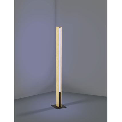 Eglo - LED RGBW Himmennettävä lattiavalaisin LED/35W/230V 2700-6500K
