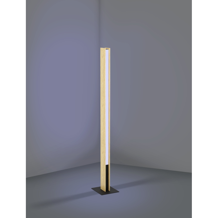 Eglo - LED RGBW Himmennettävä lattiavalaisin LED/35W/230V 2700-6500K