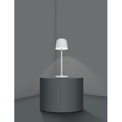 Eglo - LED Himmennettävä ulko rechargeable lamppu LED/2,2W/5V 1800 mAh harmaa IP54