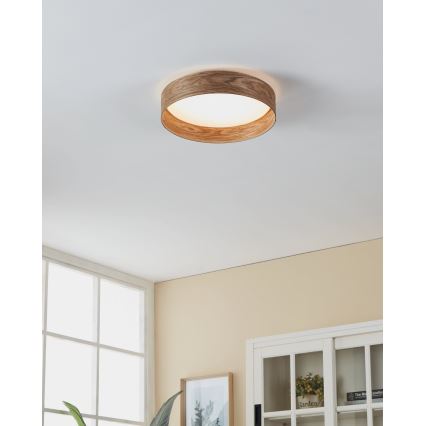Eglo - LED-kattovalaisin LED/24W/230V