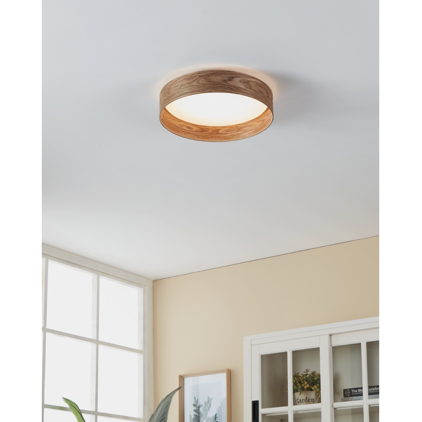 Eglo - LED-kattovalaisin LED/24W/230V