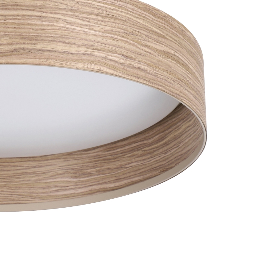Eglo - LED-kattovalaisin LED/24W/230V