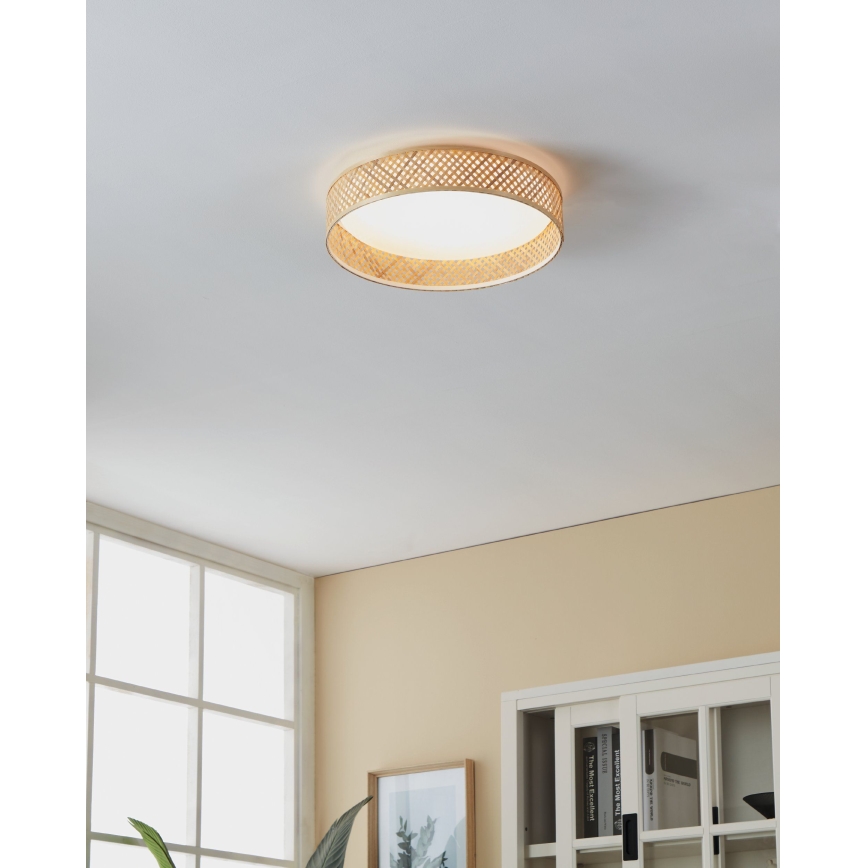 Eglo - LED-kattovalaisin LED/24W/230V